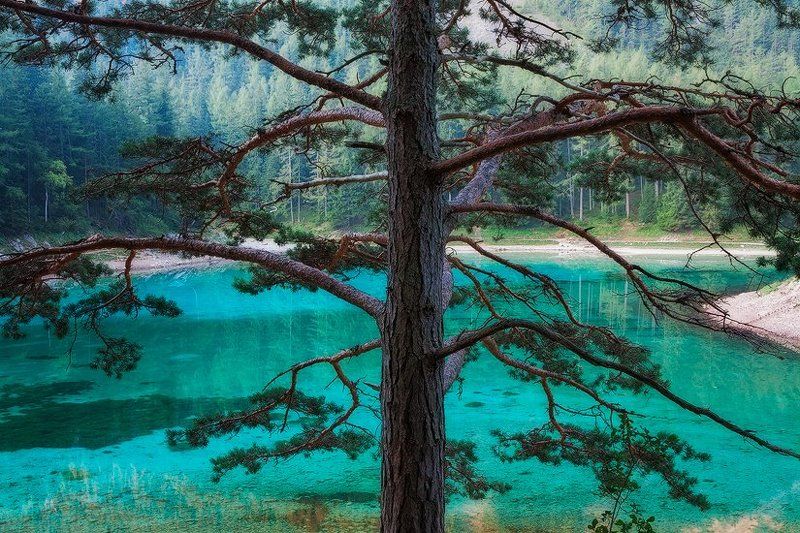 Jewel of the mountain фото превью