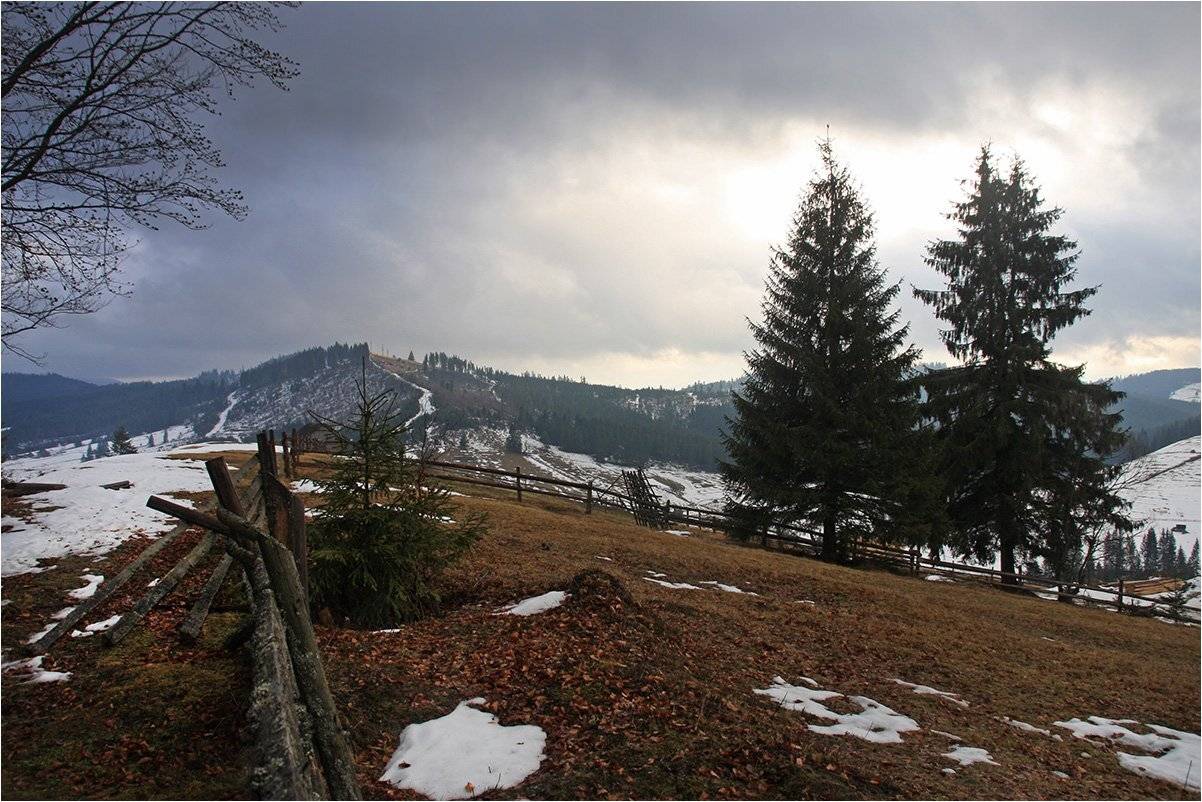 , Тарасов Алексей