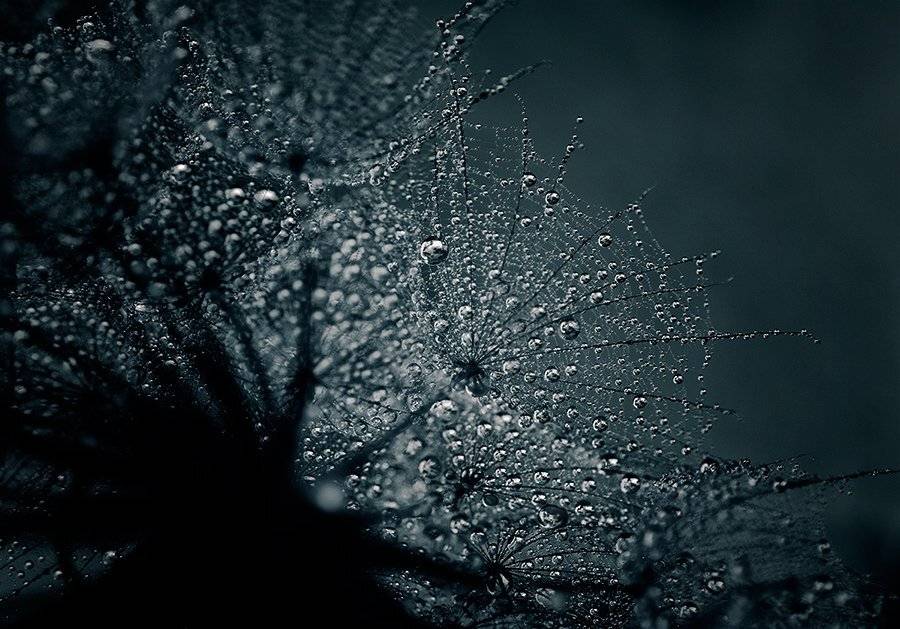 , Таня  Маркова