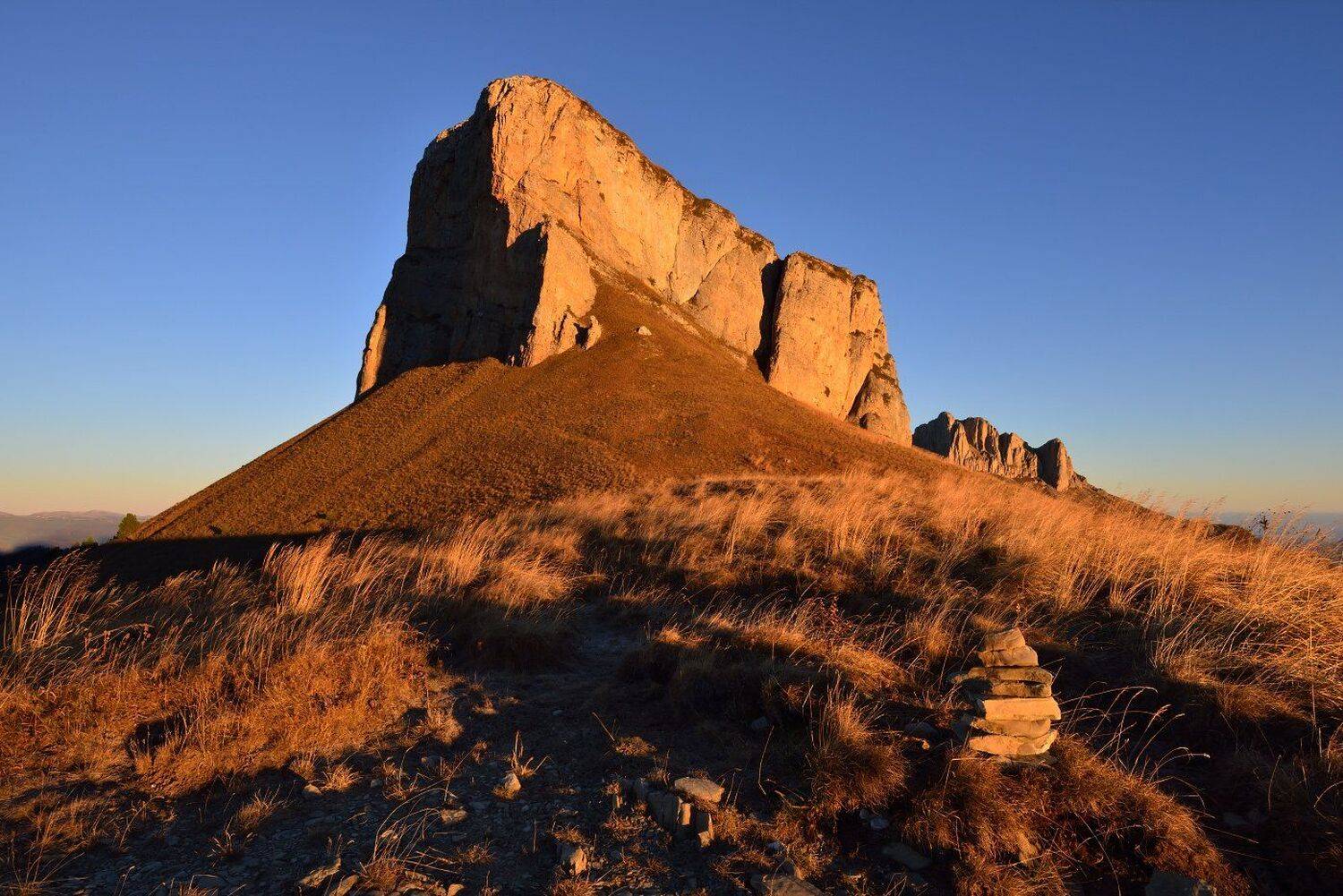 , Максим Евдокимов