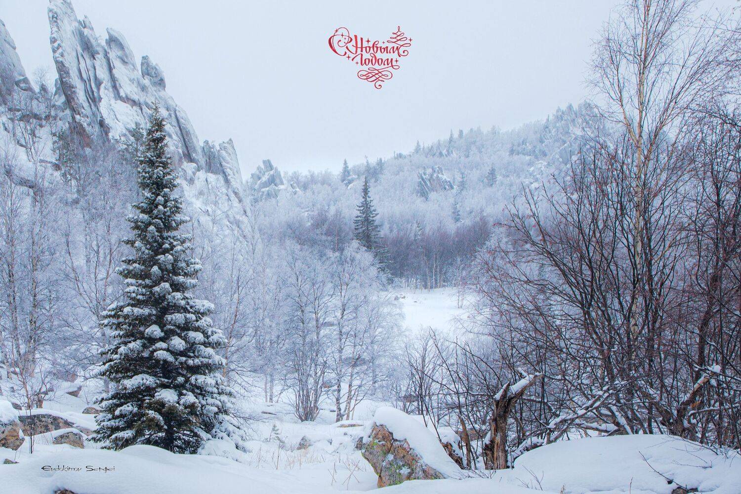 , Сергей Евдокимов