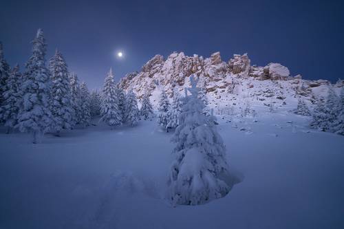 В свете утренней луны