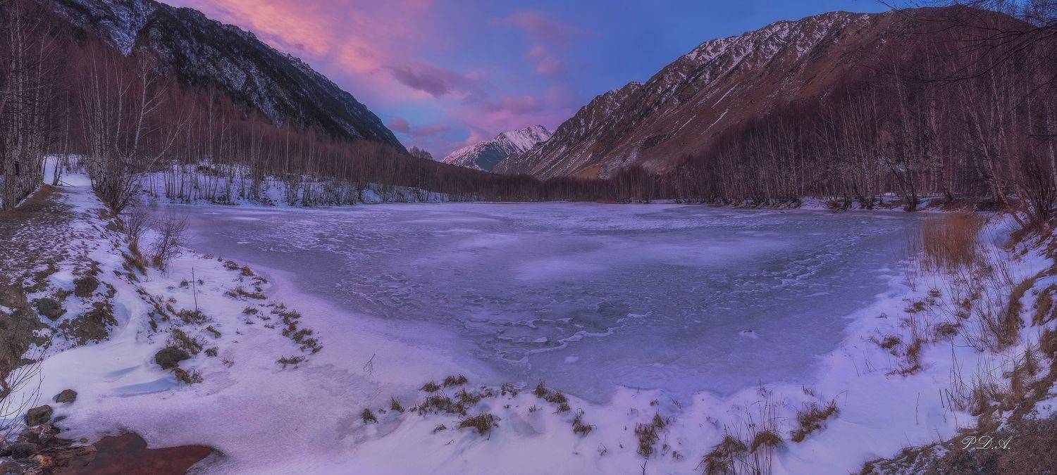 , ДМИТРИЙ ПУЗЕНКО