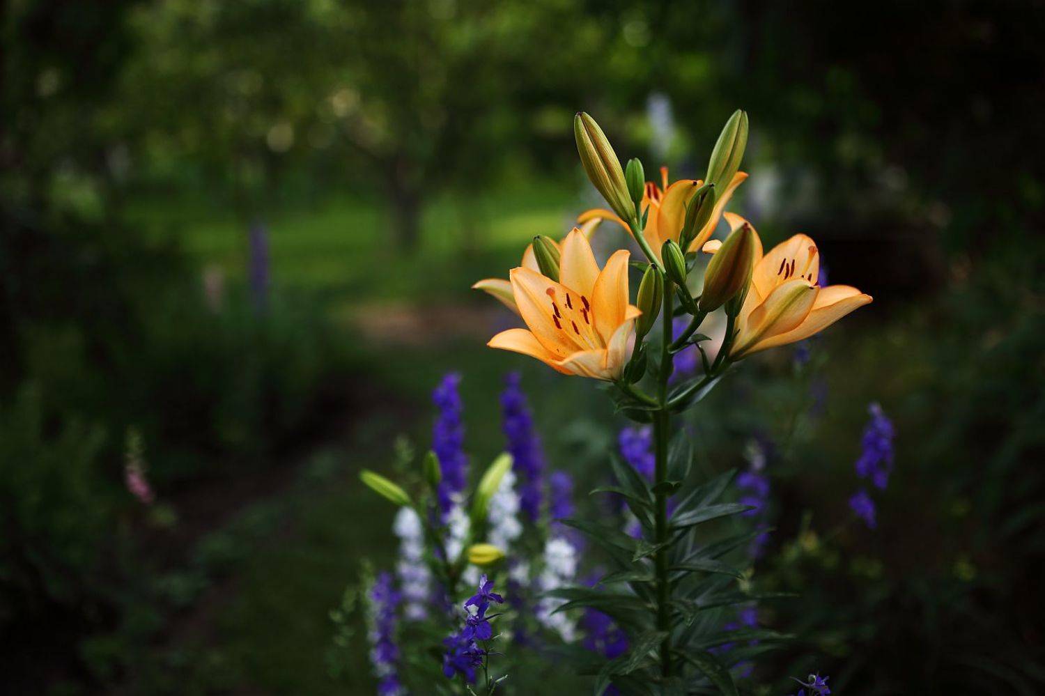 , Сергей Фудиненко