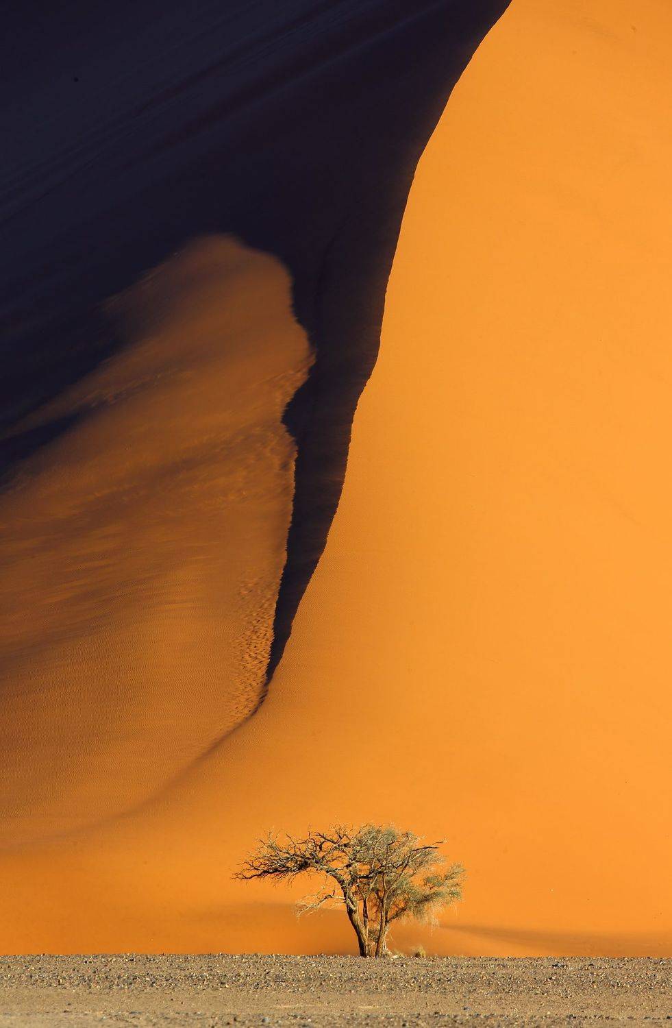 , Гудков Андрей