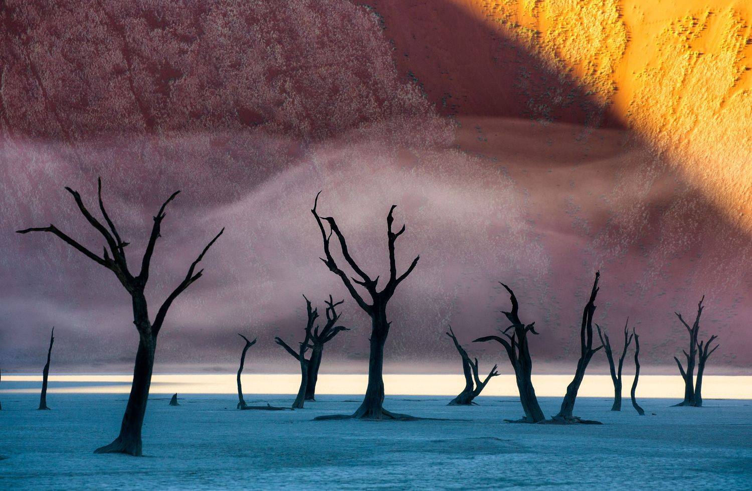 , Гудков Андрей