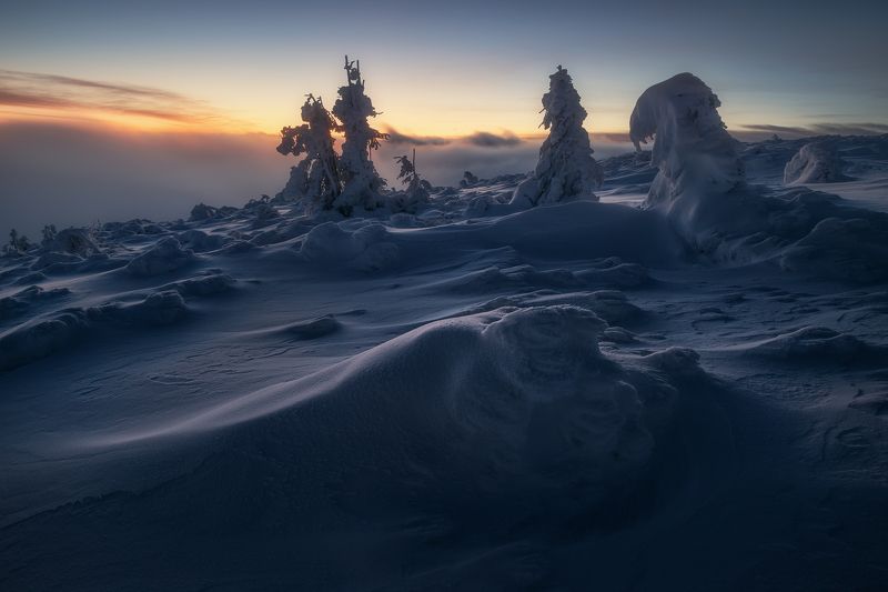 Reveal фото превью