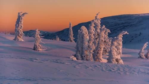 Бредущие к рассвету
