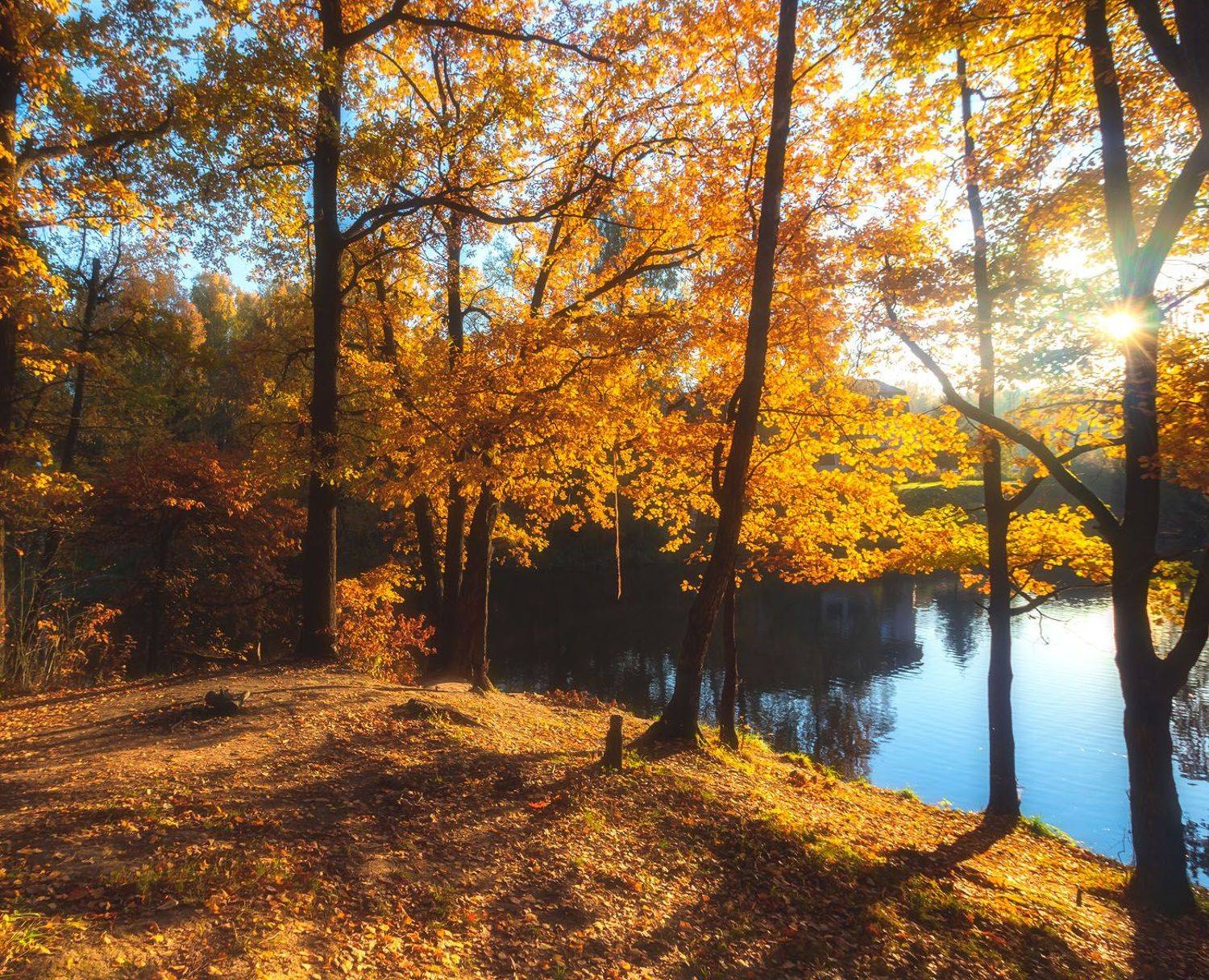, Алексей Герасимов