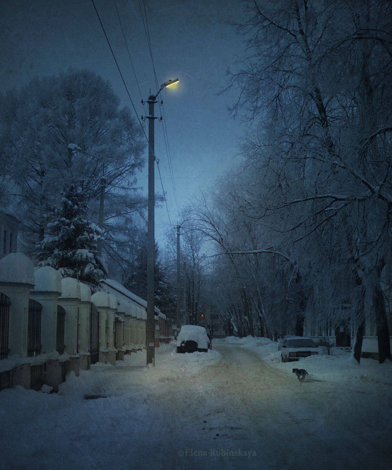 , Елена Рубинская