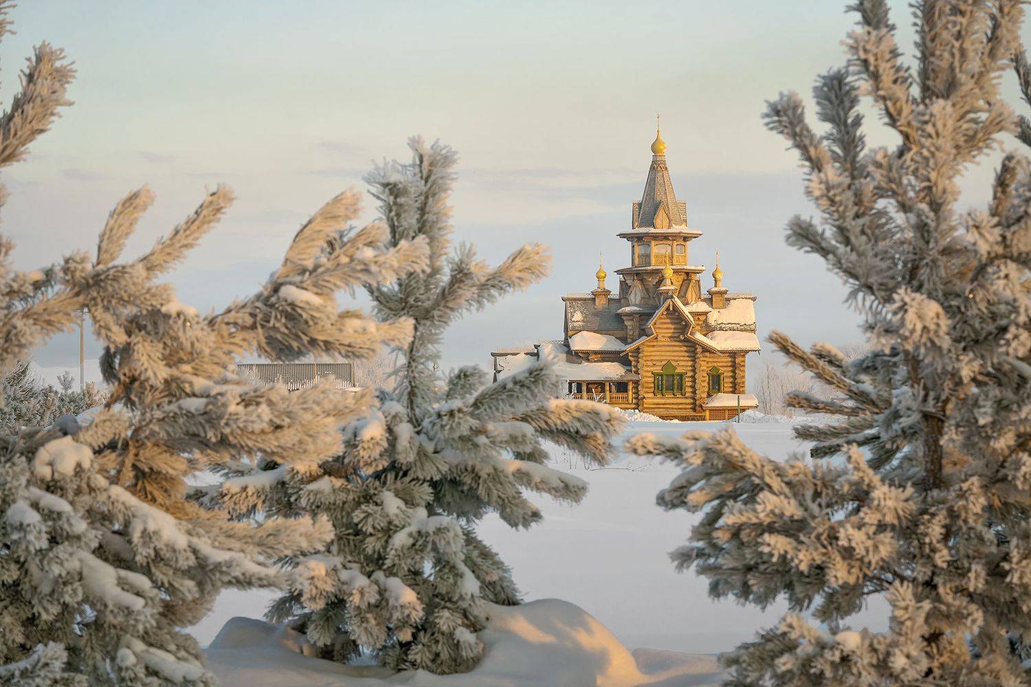 , Вячеслав Бирюков