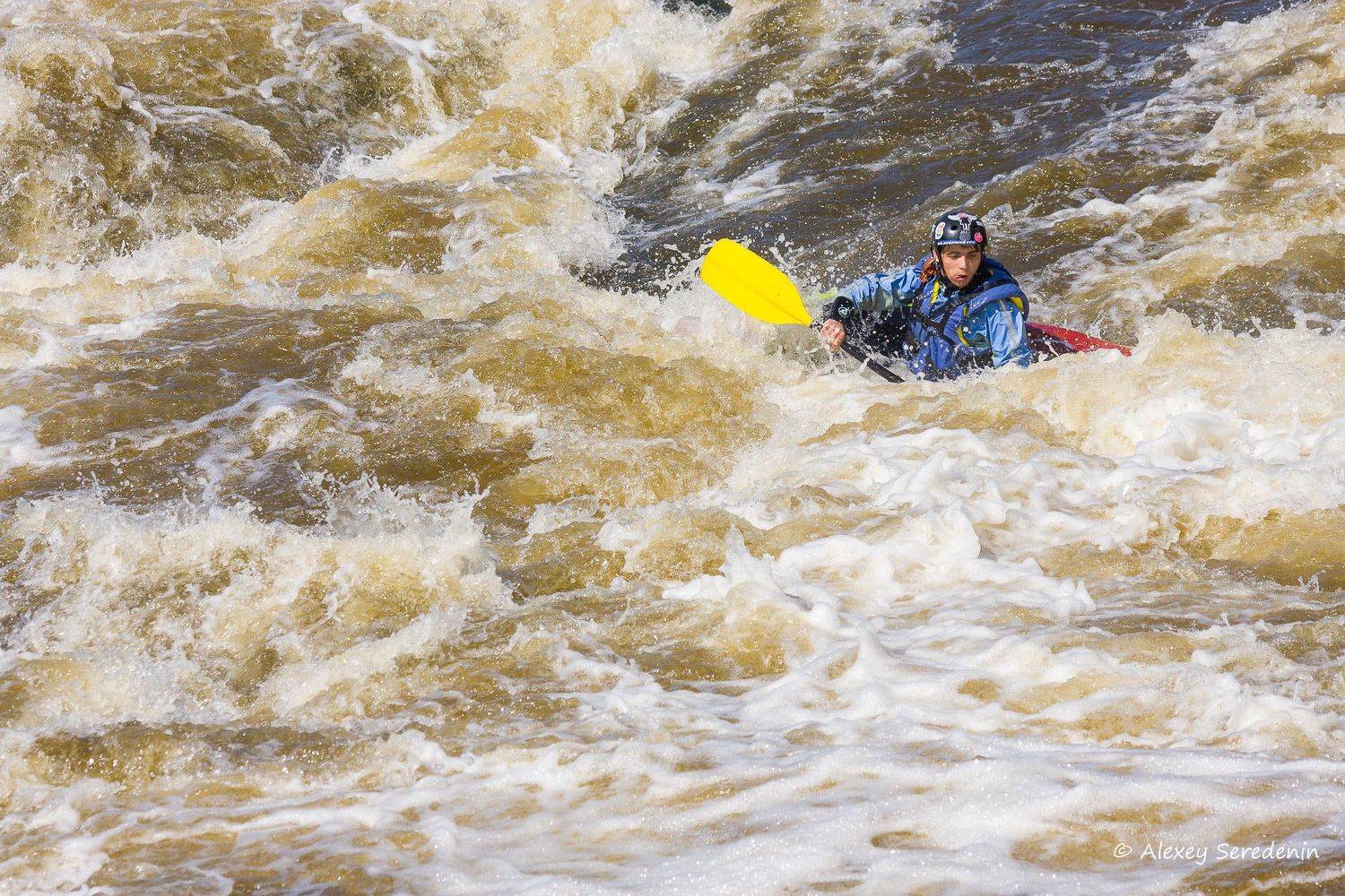 , Алексей Середенин