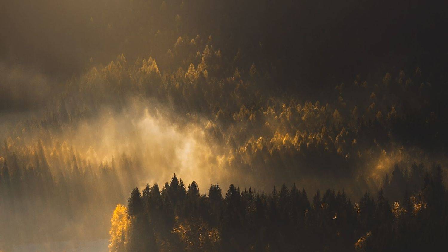landscape,autumn,mountains,canon, Iza i Darek Mitręga