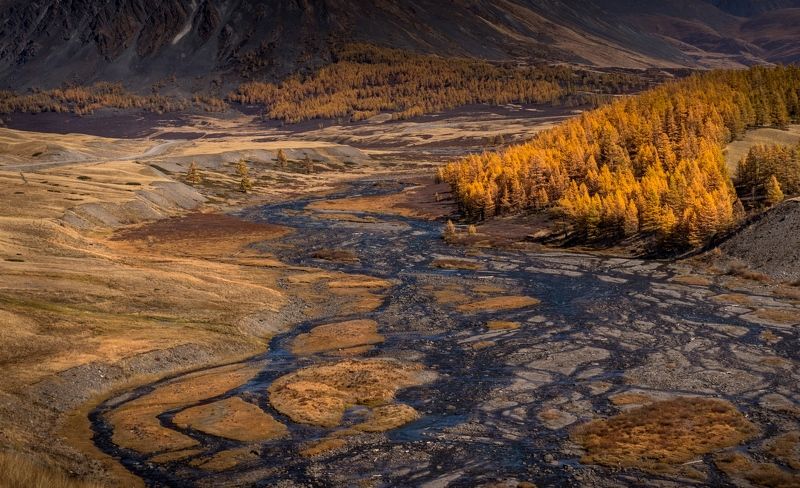 нд, джазатор, река, осень, что такое осень?, золотой алтай нд, золотой алтай, фототур на алтай, алтай Долина реки Джазатор фото превью