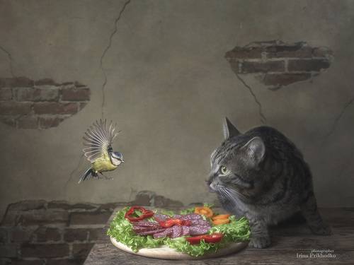 Незваный гость