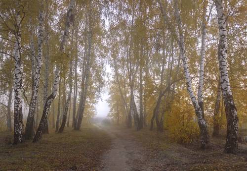 Золотая осень