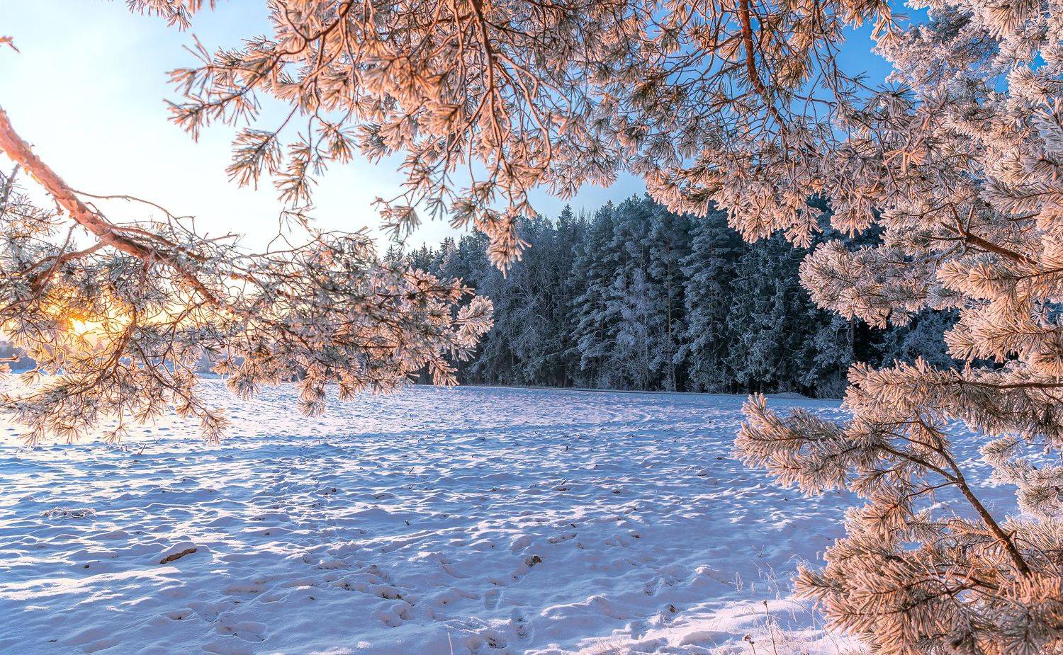 , Руслан Авдевич