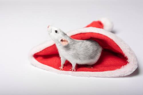 С Новым годом!