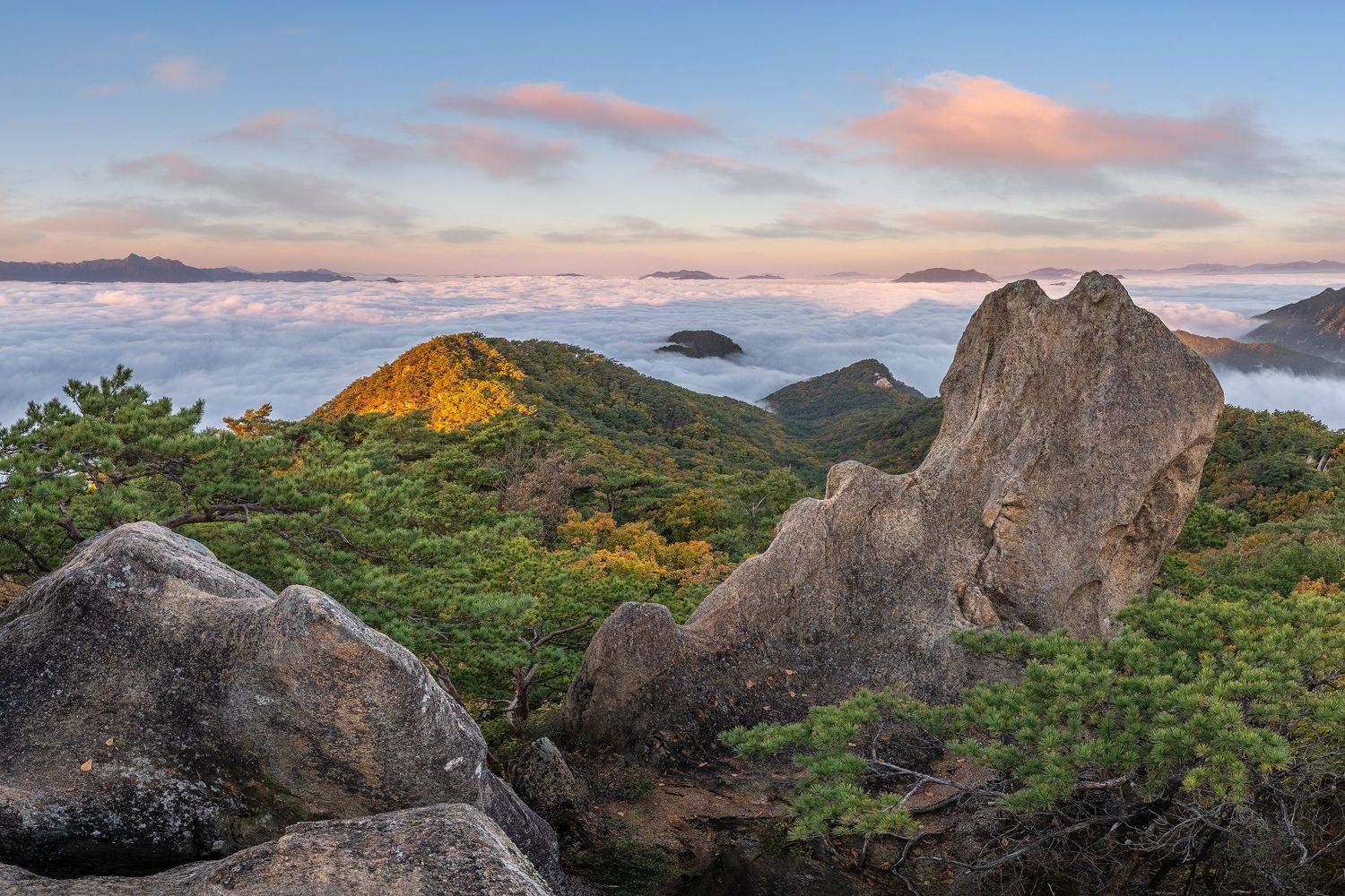 mountain, frog, Jaeyoun Ryu