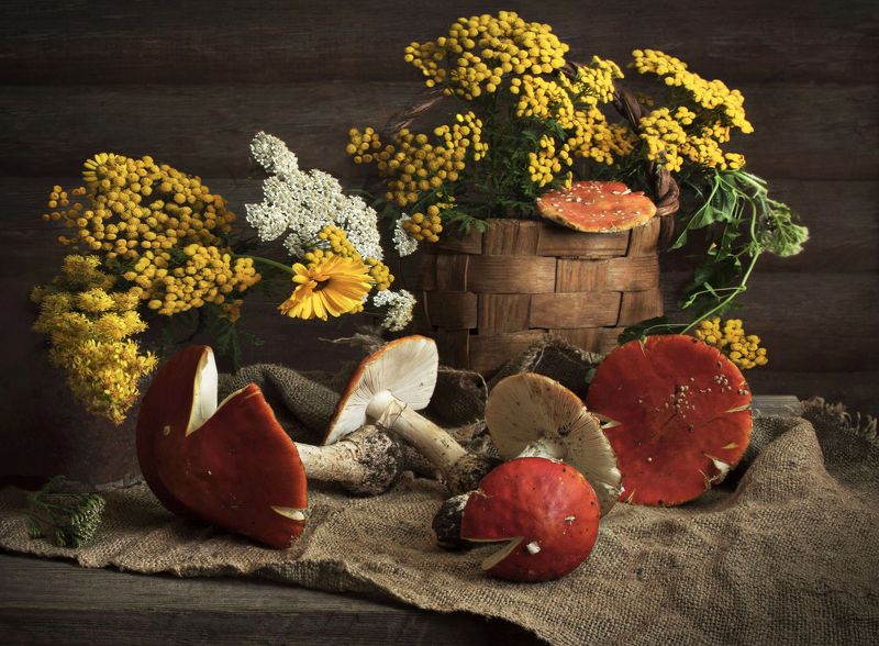 Мухоморы фото превью