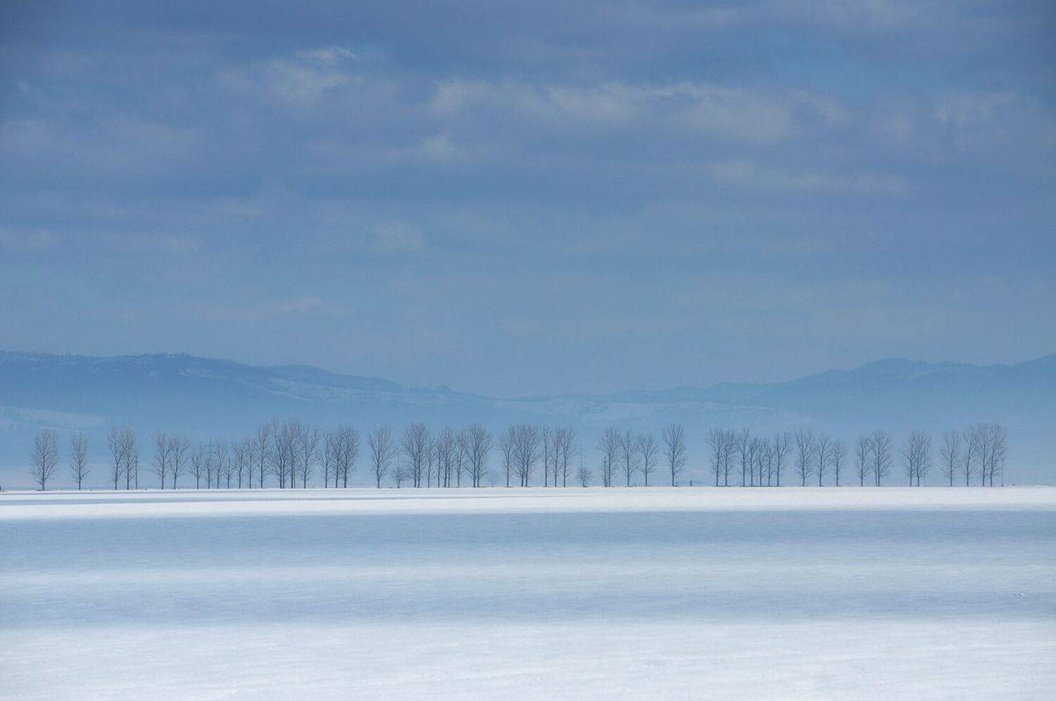 , Stefan Chirobocea