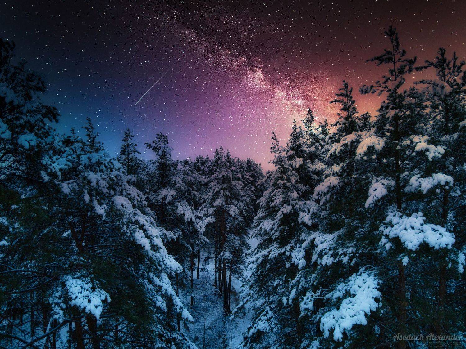 , Александр Аседач