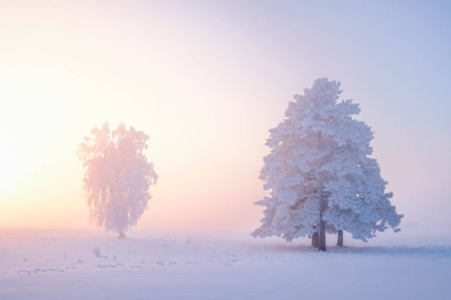 зима, зимний пейзаж, пейзаж ,снег, мороз, winter, fujifilm, Константин Леонтьев