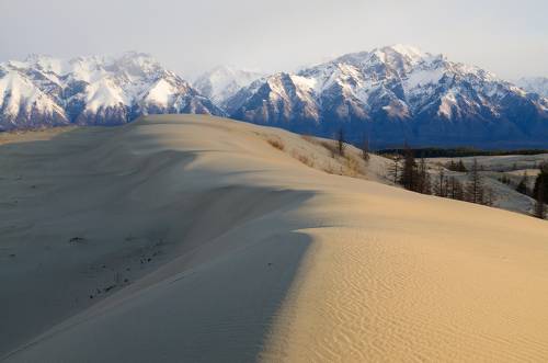 утро в песках
