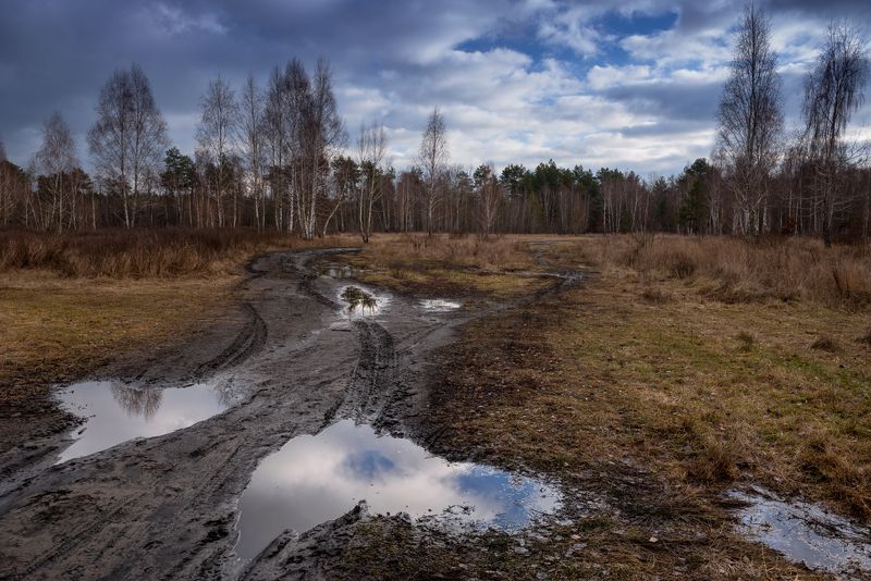 луг зима январь лужи крылья ангела Ангелы сходят с Небес фото превью
