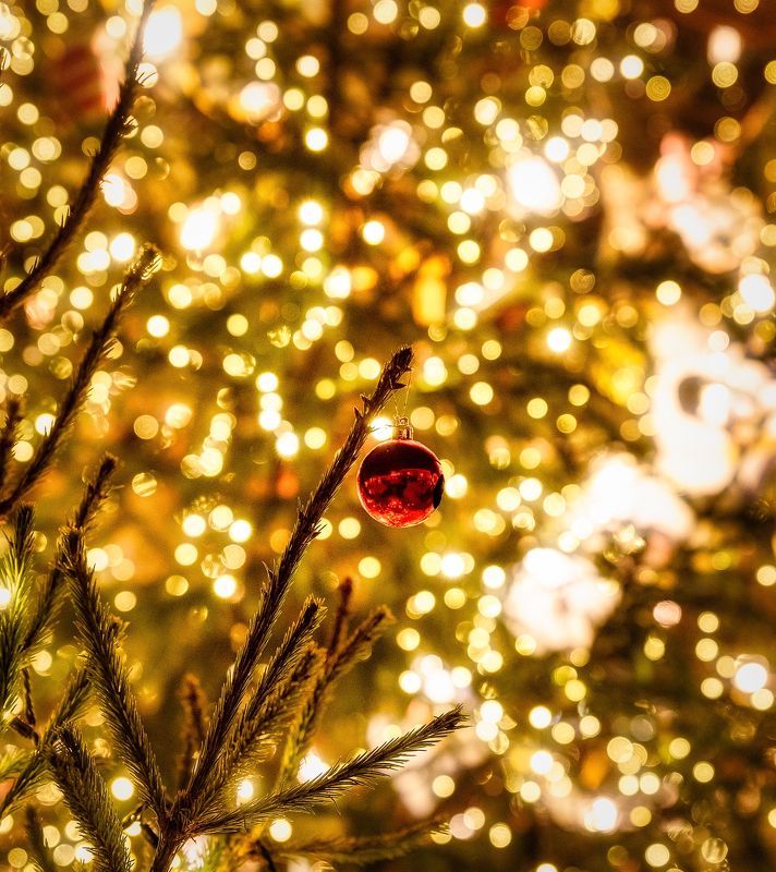 newyear, winter, city, lihgts, nikon, tamron Happy new year... фото превью