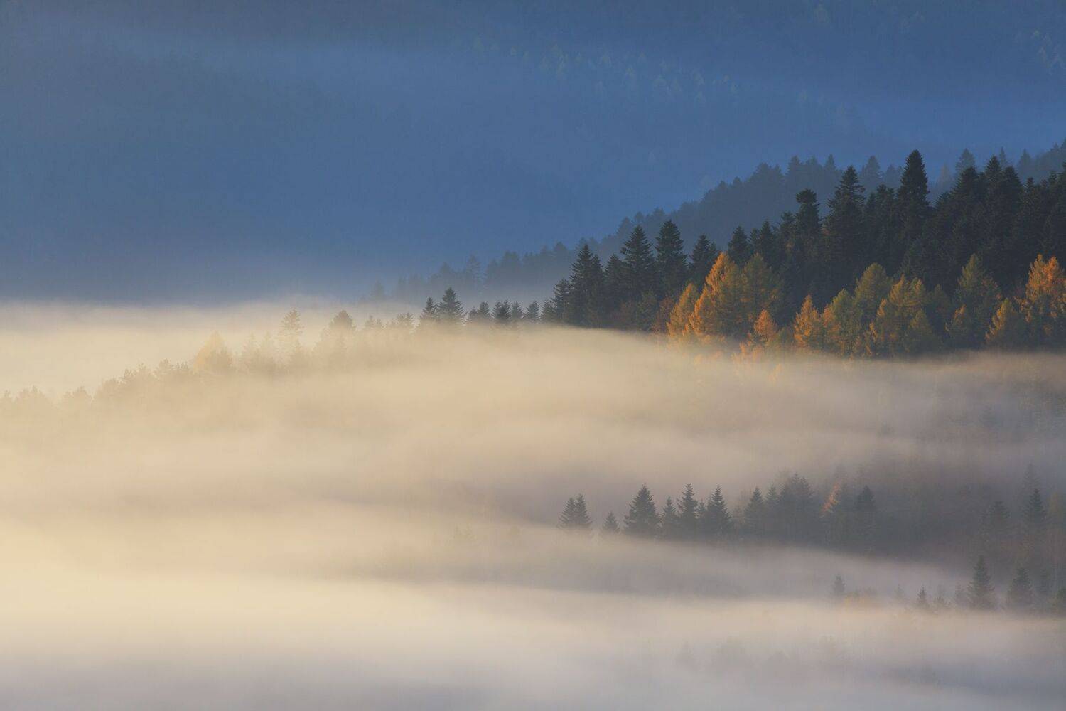 ,  Mirosław Pruchnicki