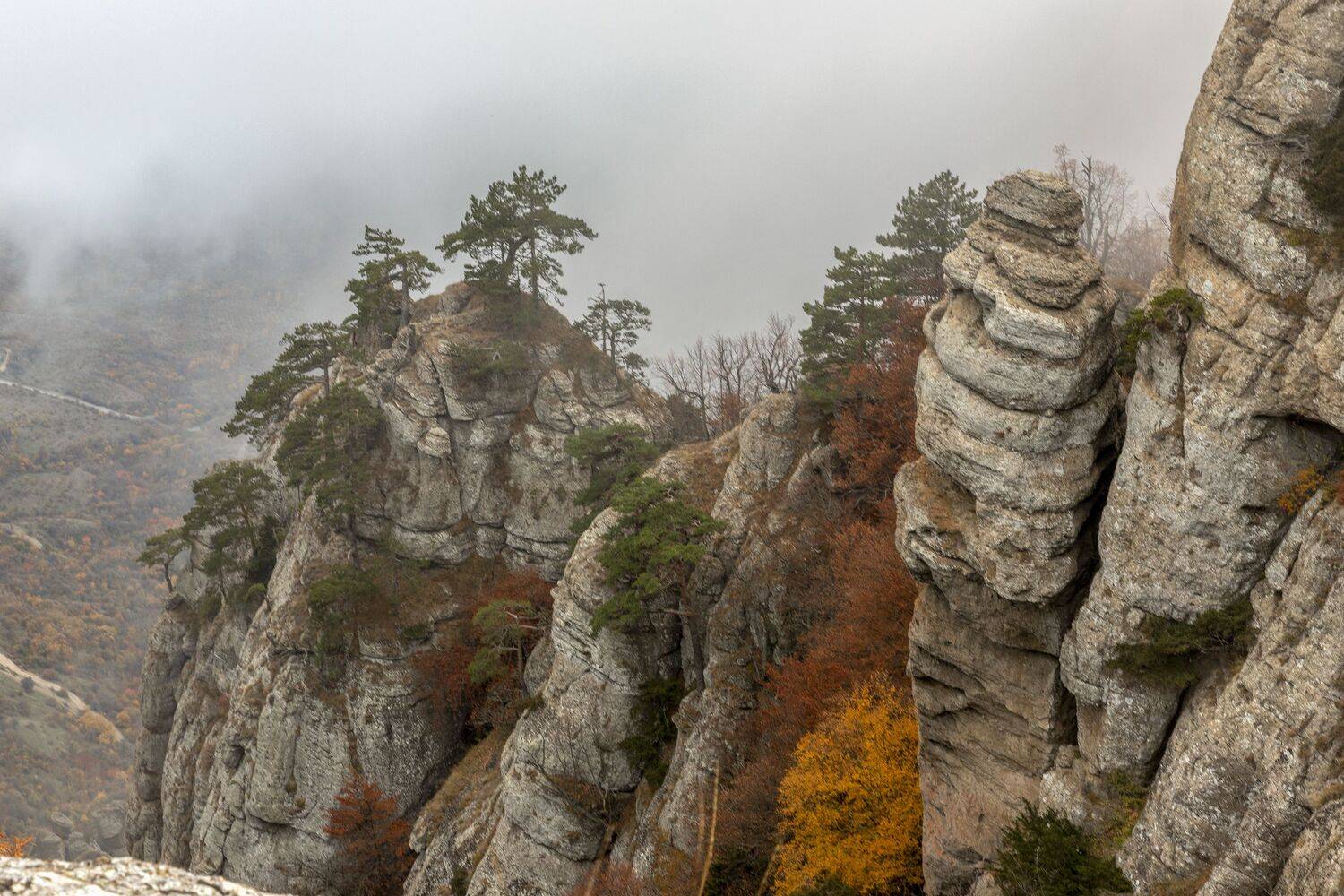 Крым, Елена Гусева