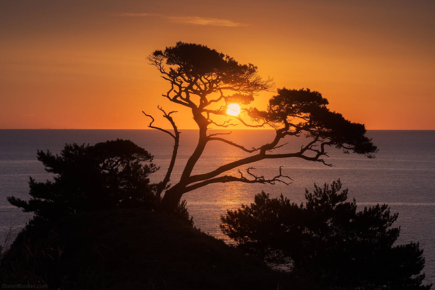 Приморье, Даниил Коржонов