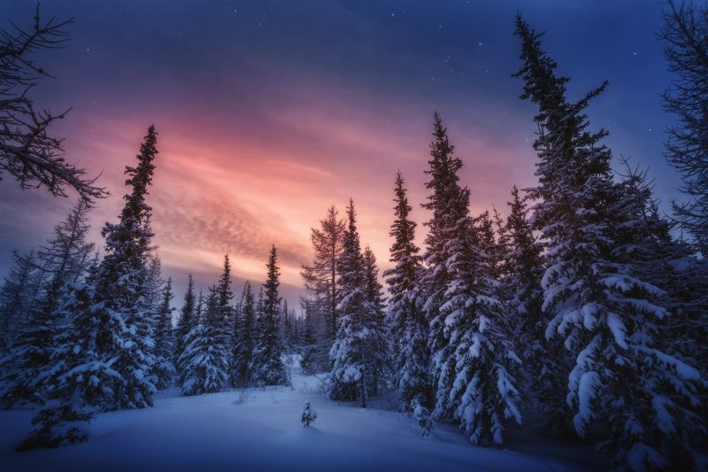 озеро, горы, лес, природа, закат, рассвет, красота, приключения, путешествие, облака Сказки Ямала фото превью