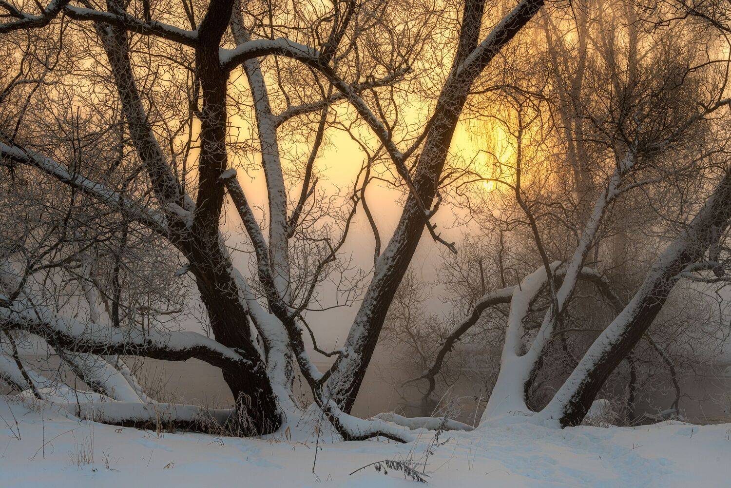 , Владимир Брагилевский