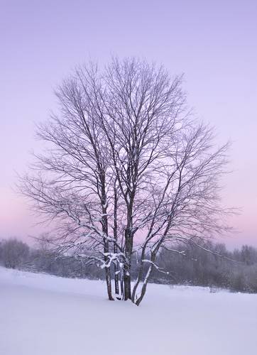 Морозные сумерки