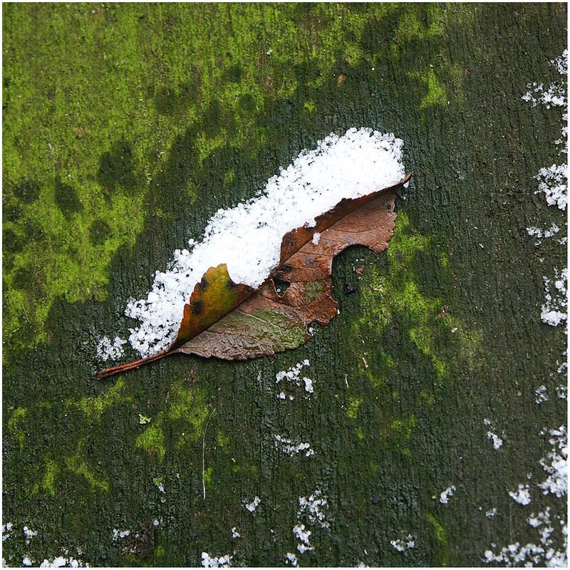 **** фото превью