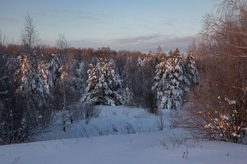 В утреннем свете