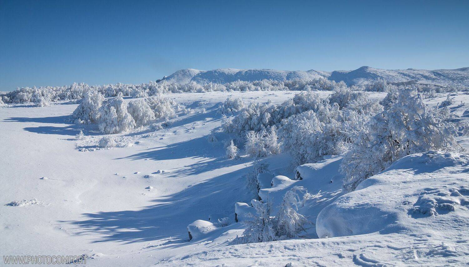 , Елена Ковригина