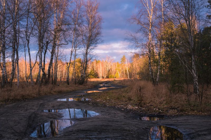 луг, зима, январь, лужи, крылья, ангела, тучи, закат Небо цвета индиго фото превью
