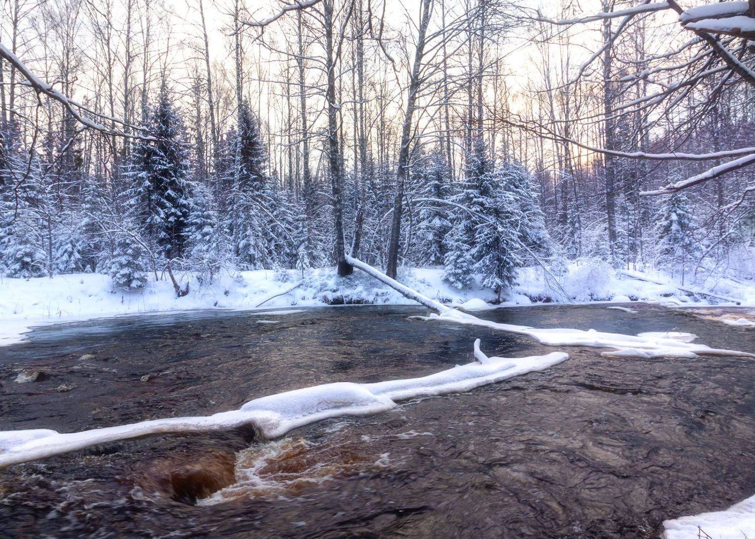 , Алексей Герасимов