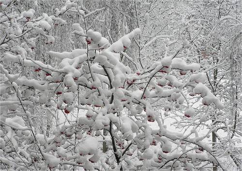После снегопада