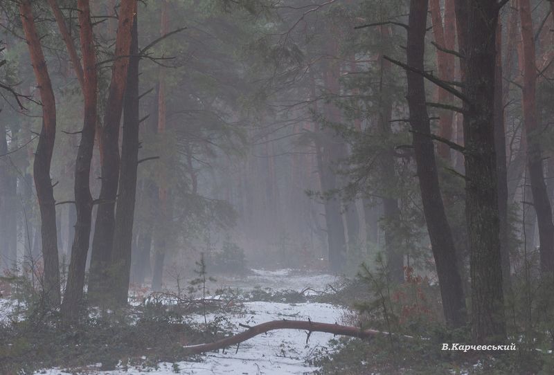 Настроение января.... фото превью
