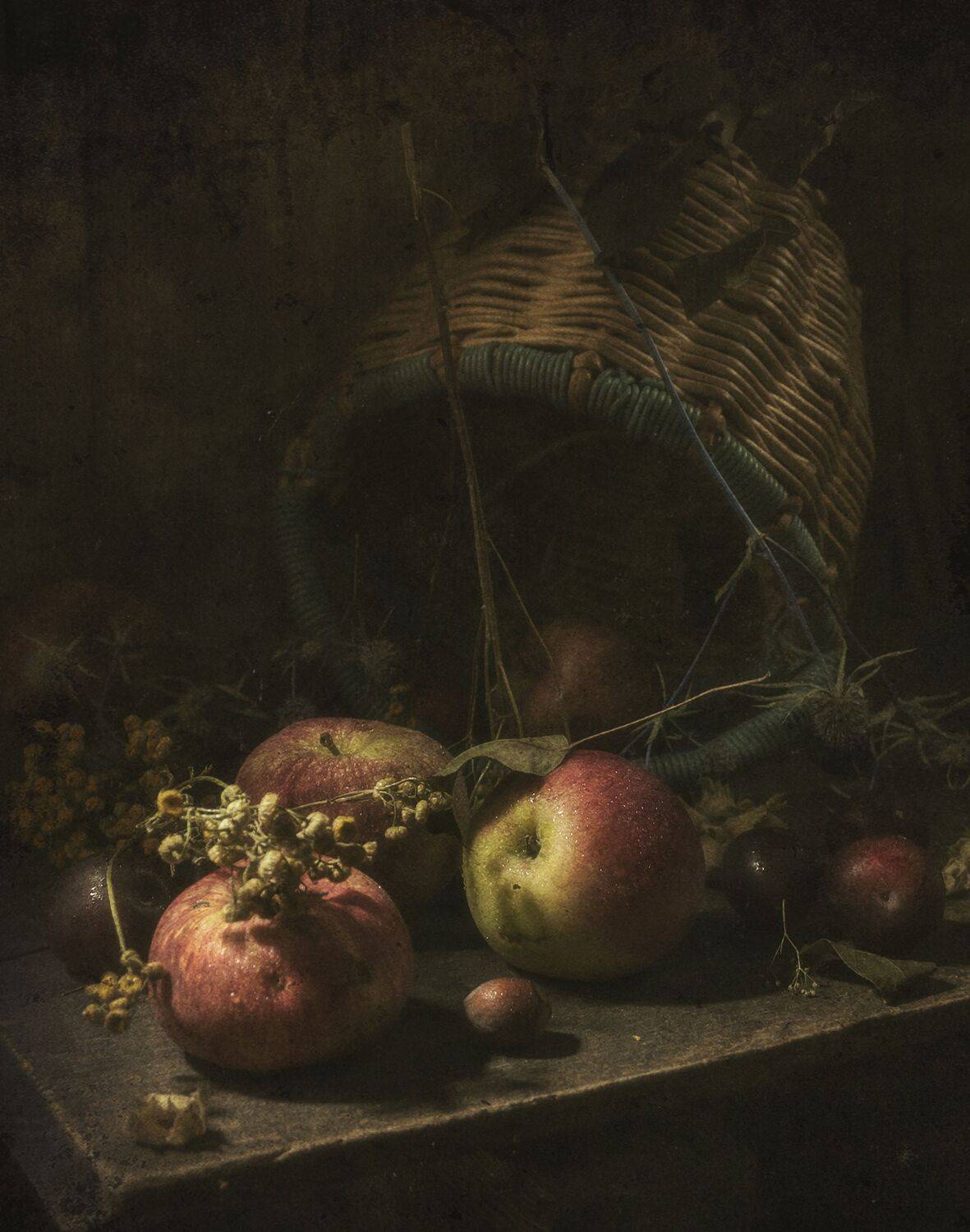 корзинка,яблоки,деревня, Владимир Володин