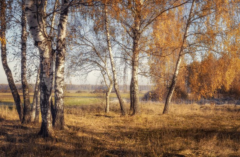 Одно утро осени фото превью