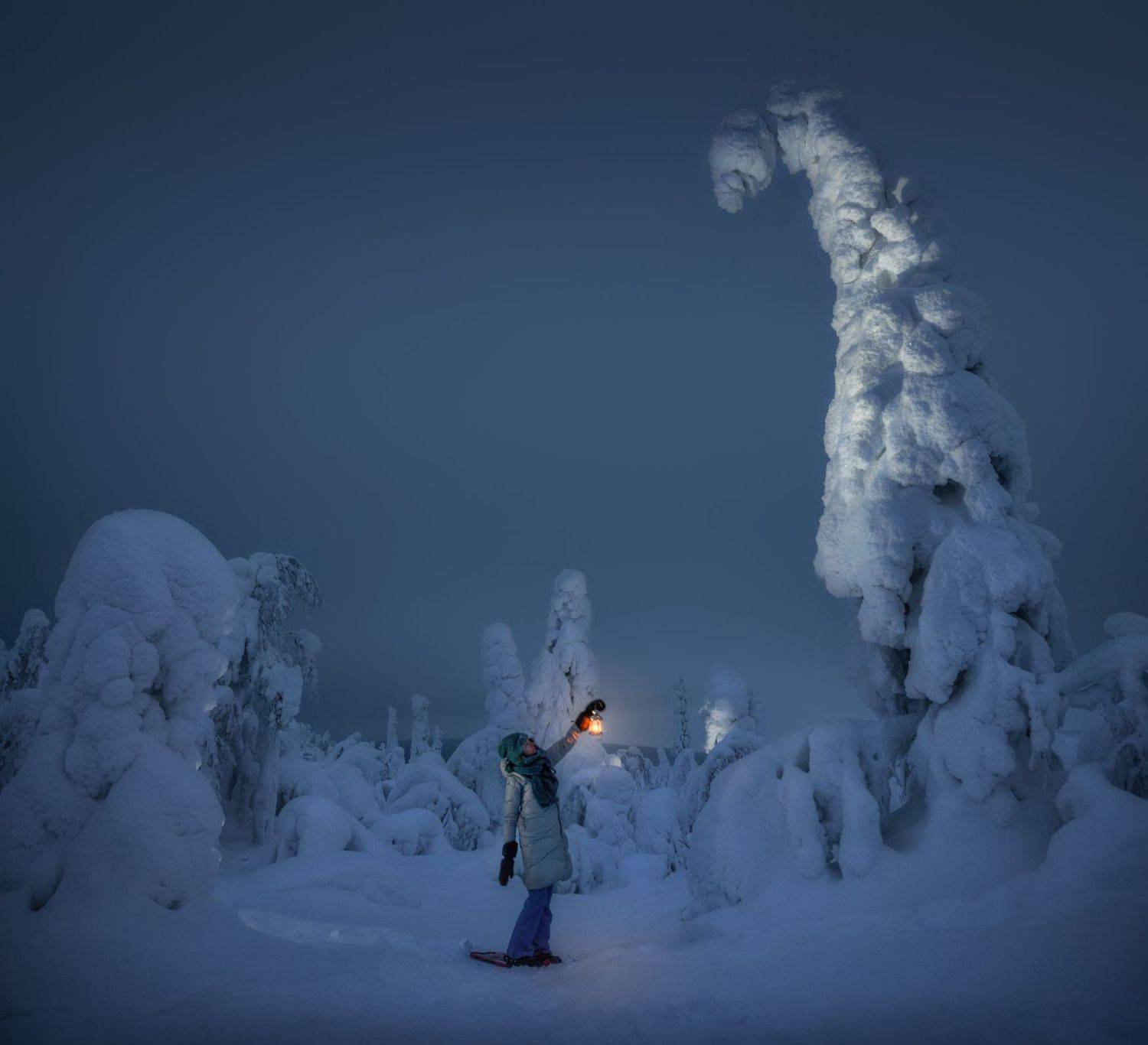 кольский, Андрей Грачев