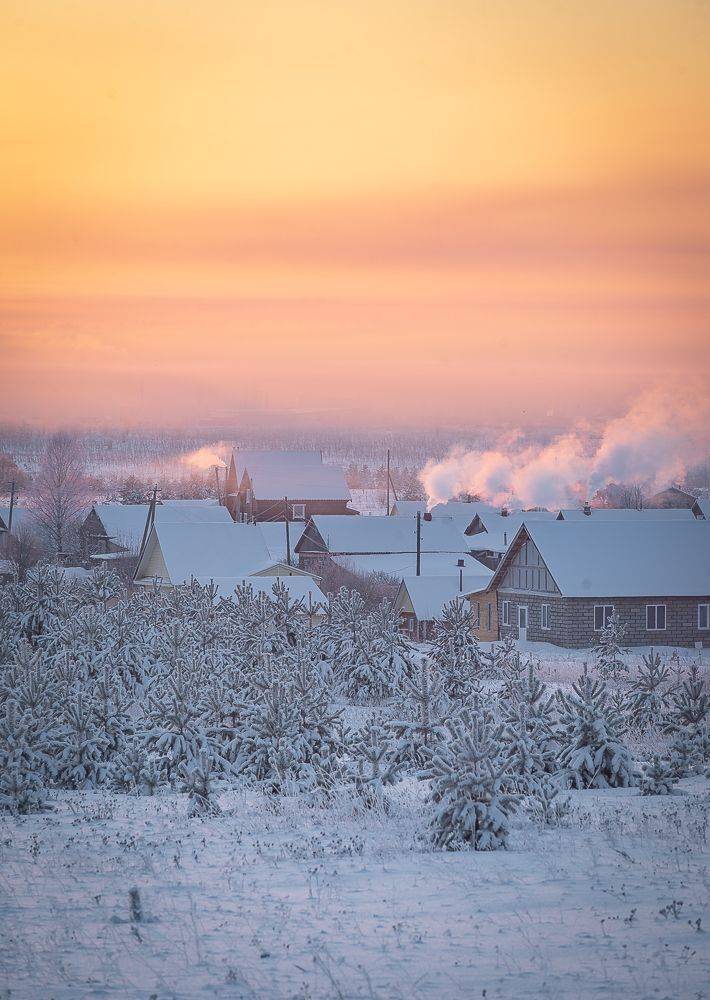 , Алексей Шуплецов