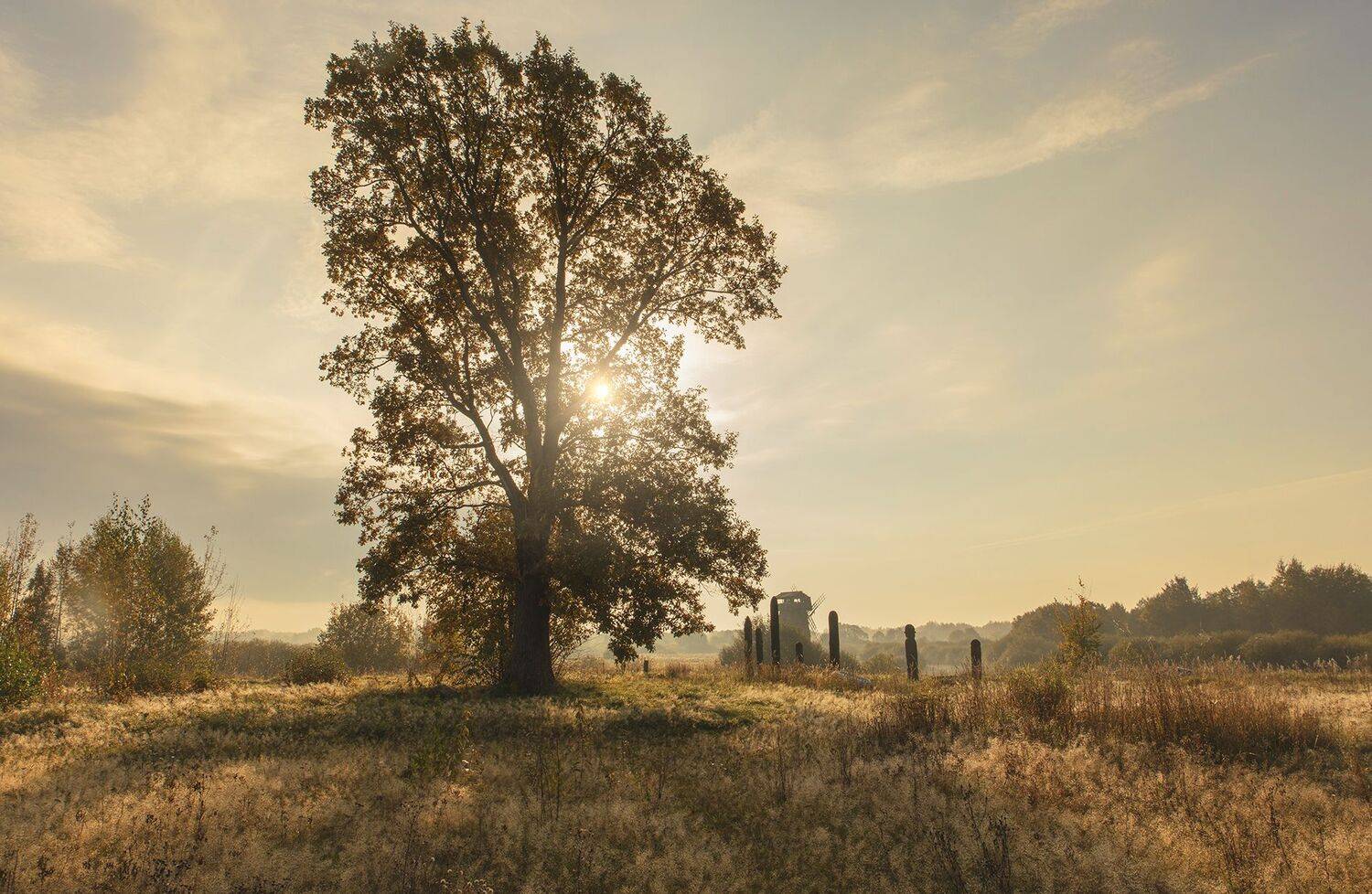 кинодеревня,псковская обл, alexOmRam