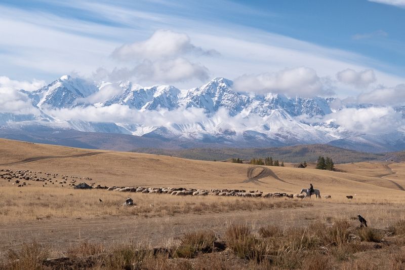 Актру и Куркурек фото превью