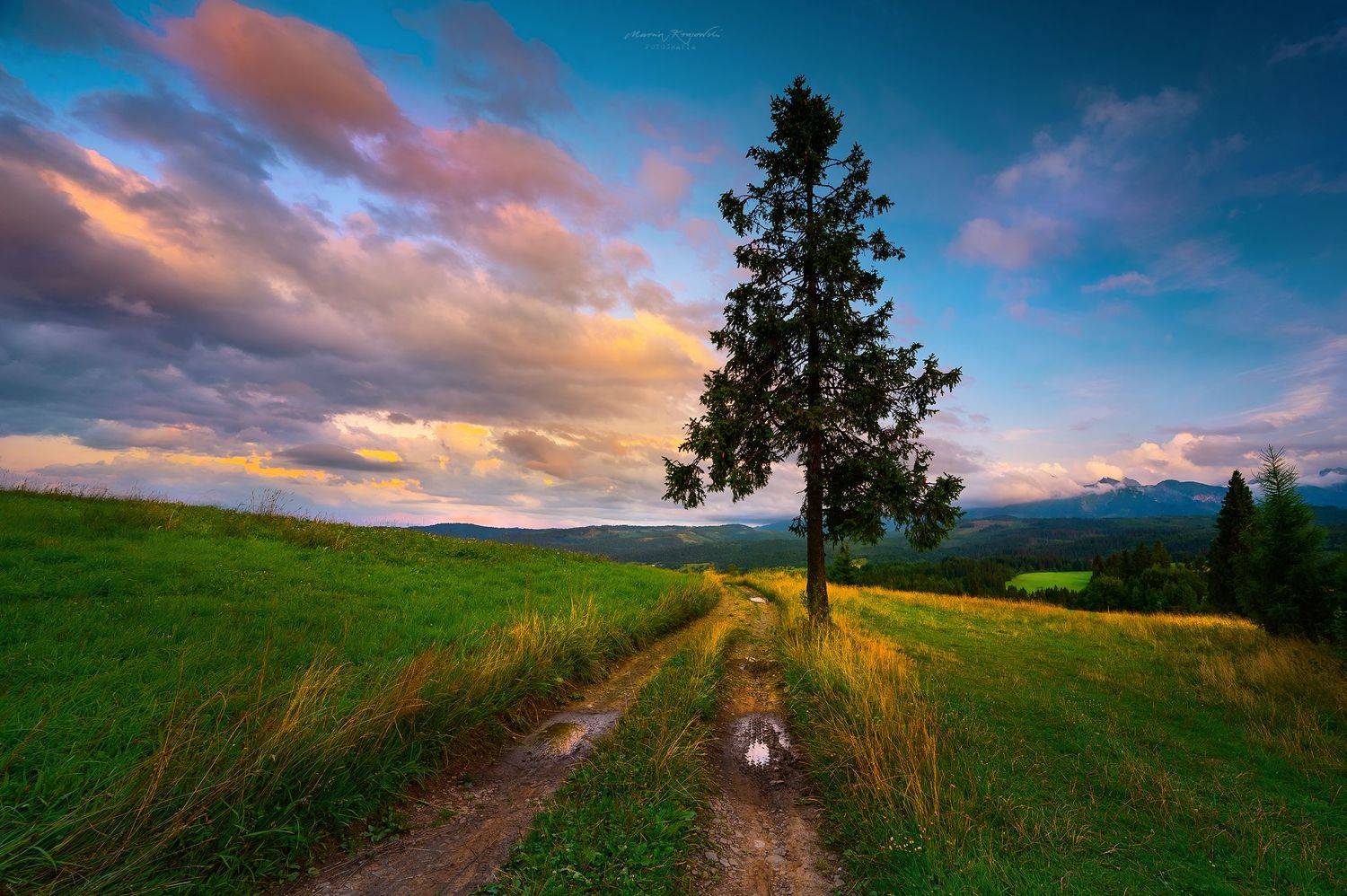 , Marcin Krasowski